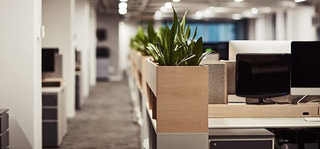 A Cleaning Service as Unique as Your Business